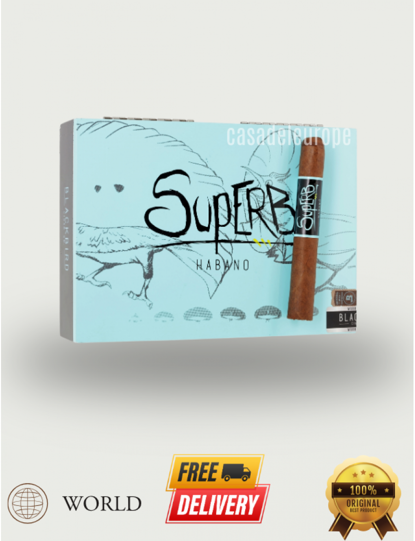 Blackbird Superb Toro 6" * 52