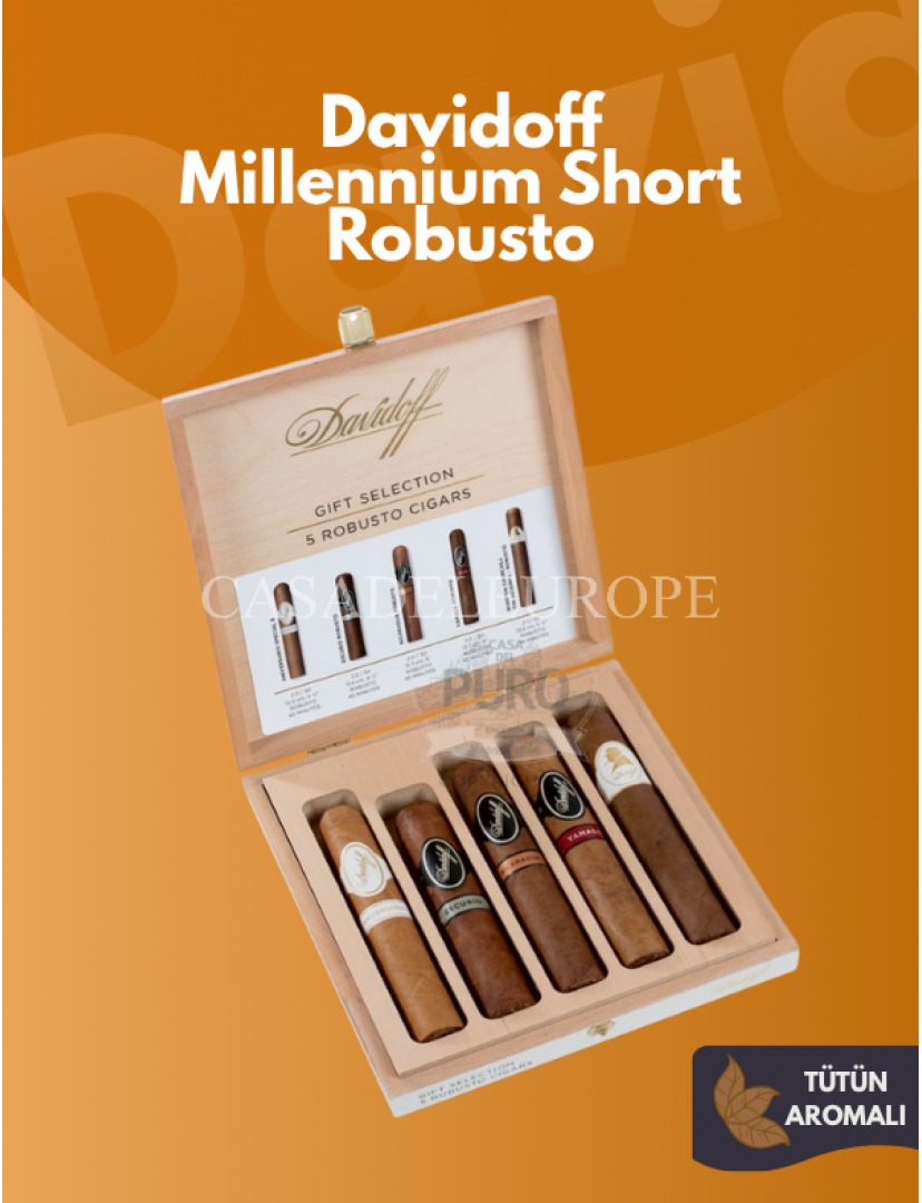 Cigars Davidoff Robusto Selection 5'S 