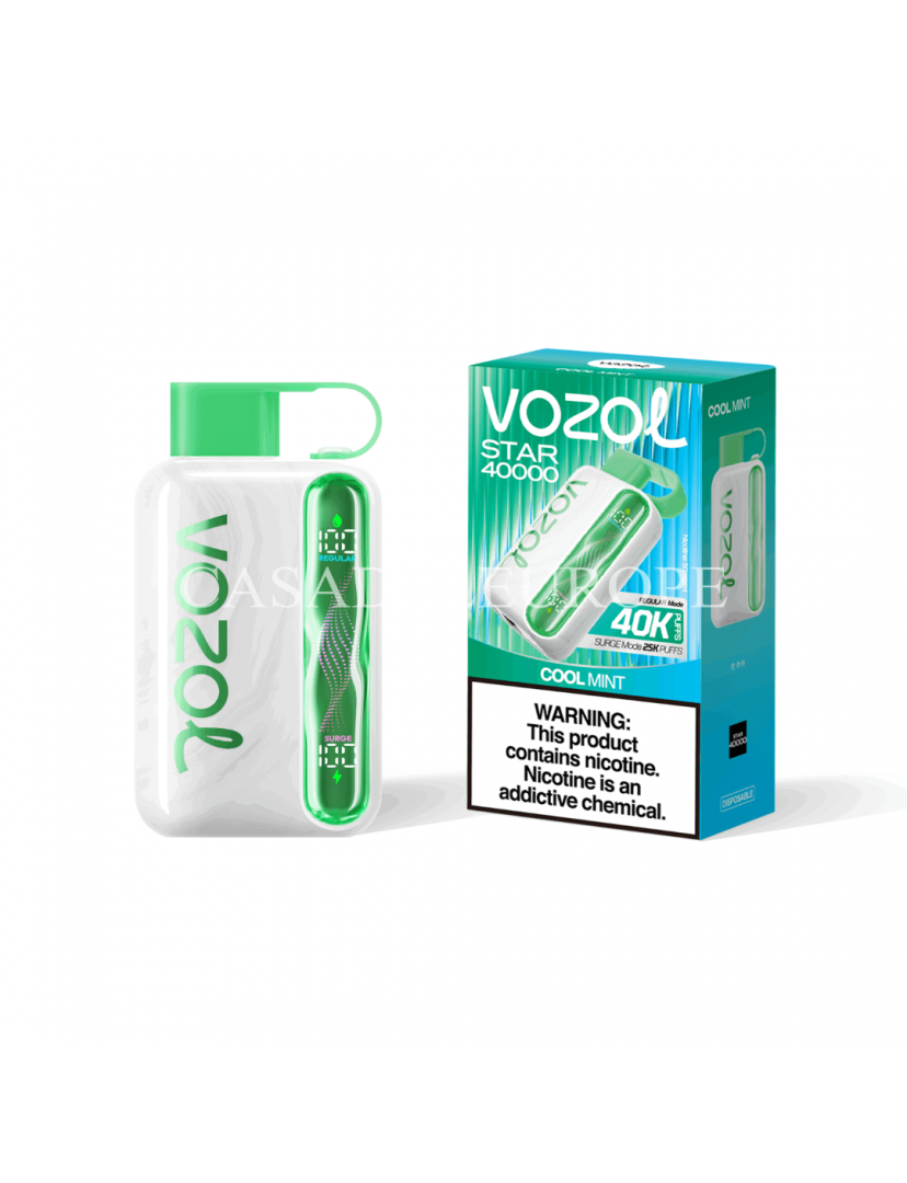 Vozol Star 40000 cool mint