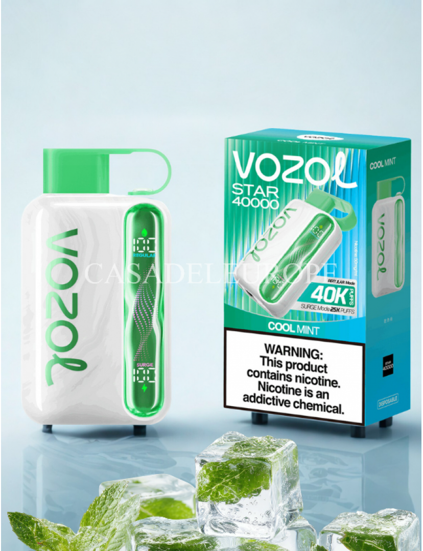 Vozol Star 40000 cool mint