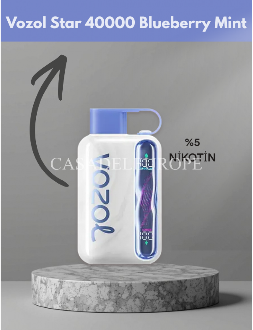 Vozol Star 40000 Blueberry Mint